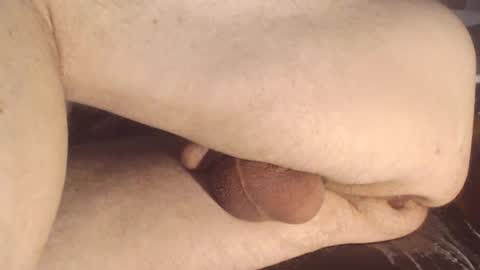 maestro2017 online show from 01/12/25, 05:33