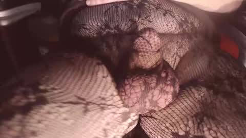 maestro2017 online show from 02/01/25, 08:58