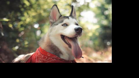 Snapshot of magic_katarina_ chatting on 01/25/25, 08:31 magic_katarina_ online show from 01/25/25, 08:31