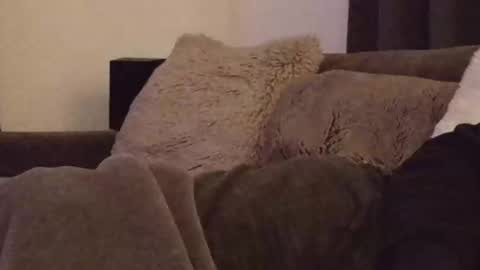 magic_passionitaliano online show from 03/03/26, 06:36