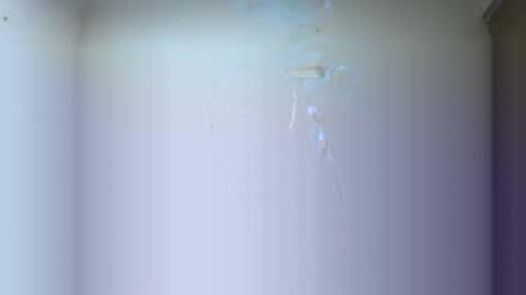 BRAYAN online show from 03/16/26, 02:39