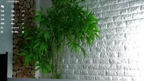 Lucy online show from 04/08/26, 02:11