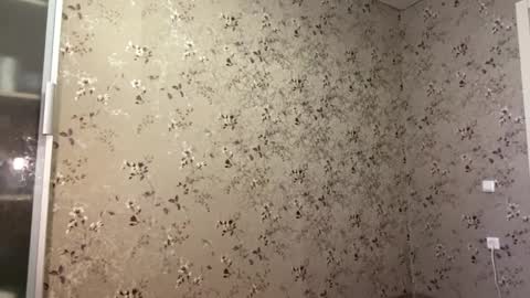 DIna online show from 04/09/26, 02:11