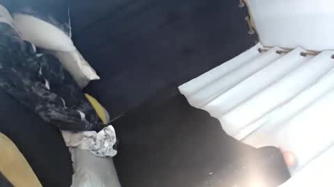 Lei online show from 01/12/25, 07:11