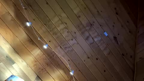 makeyousquirt1969 online show from 02/10/26, 07:56