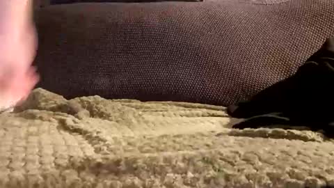 mako998843 online show from 01/06/26, 10:01