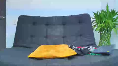 Malcom online show from 02/06/26, 02:16