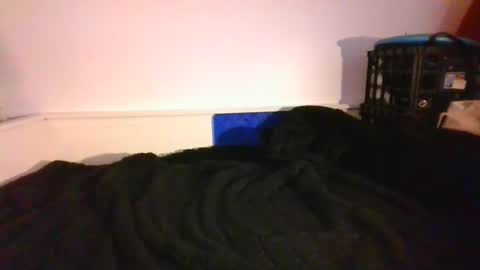 Snapshot of malebdsmslut chatting on 12/14/24, 09:56 CommandbondageNipples bondage kink submissive lovense slave wgear. modequiethvyBondage If Password goldfish online show from 12/14/24, 09:56