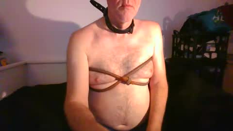 Snapshot of malebdsmslut chatting on 01/29/25, 09:12 CommandbondageNipples bondage kink submissive lovense slave wgear. modequiethvyBondage If Password goldfish online show from 01/29/25, 09:12