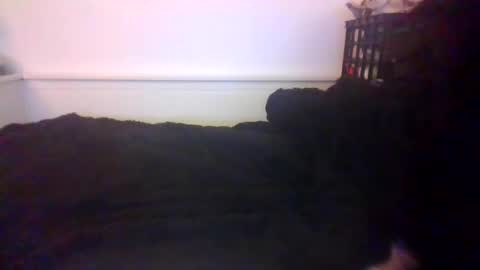 Snapshot of malebdsmslut chatting on 10/20/25, 07:20 CommandbondageNipples bondage kink submissive lovense slave wgear. modequiethvyBondage If Password goldfish online show from 10/20/25, 07:20