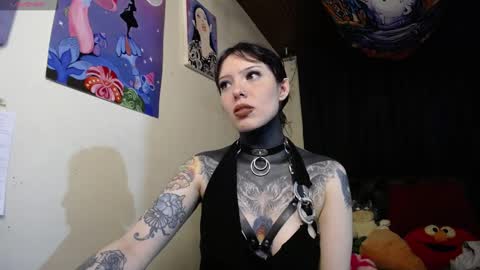 Alice Asylum online show from 12/13/24, 01:37