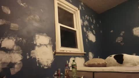 Malicious Monoxide online show from 01/12/25, 03:49