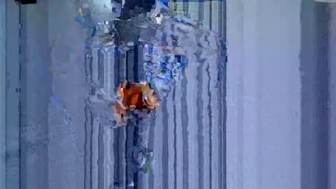 maluma1981 online show from 12/22/24, 01:34