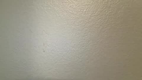 mamiilatina2500 online show from 03/24/26, 04:45