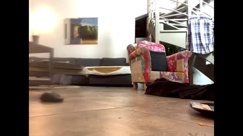 Snapshot of man38110 chatting on 02/14/25, 06:51 man38110 online show from 02/14/25, 06:51