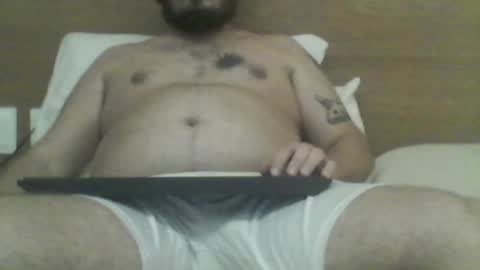 manatee bear online show from 12/22/25, 02:30