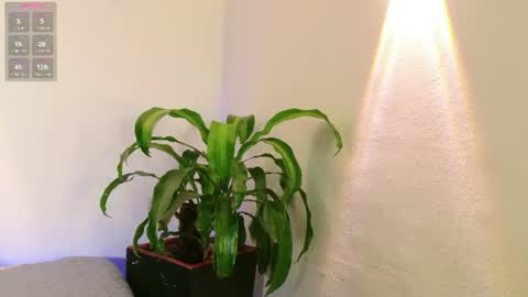 Mandy Val online show from 07/18/26, 08:34