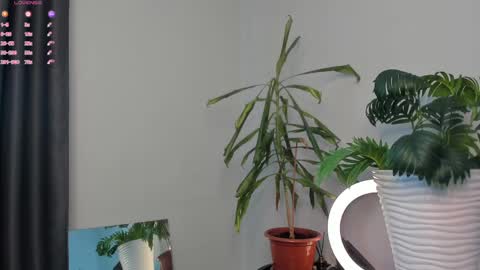 Manita online show from 05/05/26, 10:01