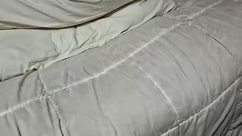 Dickinabox online show from 11/17/25, 08:42