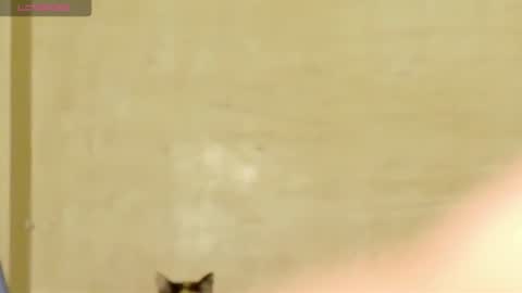 Snapshot of manumeow_ chatting on 06/18/26, 01:06 Manu online show from 06/18/26, 01:06