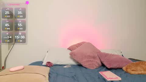     online show from 01/11/25, 03:23