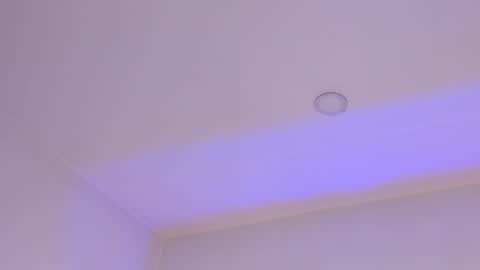 Mara online show from 02/01/25, 03:41