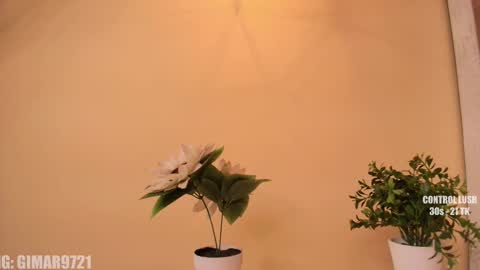 Marcela online show from 09/29/25, 01:22