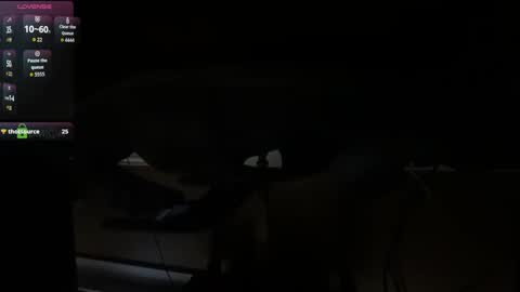 Marco Polo online show from 10/07/25, 08:39