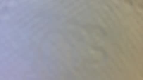 Maria Magdalena online show from 04/07/26, 06:30