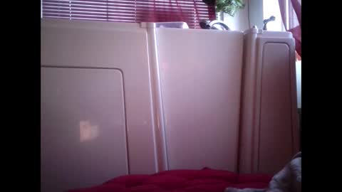 MariahJade95 online show from 02/12/25, 02:54