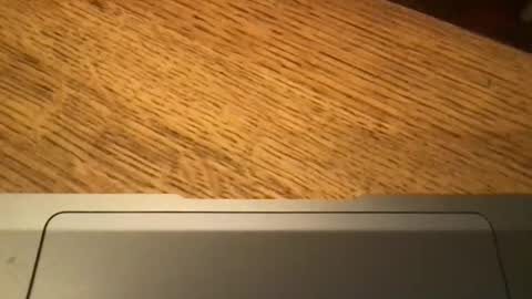 marklondonguy2023 online show from 11/27/25, 09:22