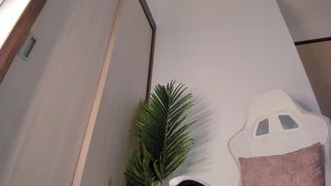 markus... Y online show from 12/29/24, 01:24