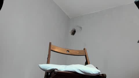 MARK online show from 10/16/25, 12:06