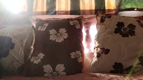 marocreda33 online show from 12/24/24, 11:17