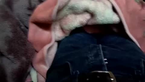 marocreda33 online show from 03/11/25, 05:57