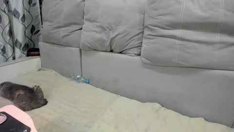 martaandserg online show from 04/07/26, 02:39