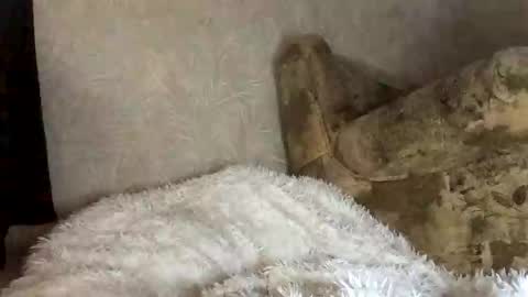 Snapshot of martaluna_ chatting on 11/27/25, 07:54 Marta online show from 11/27/25, 07:54