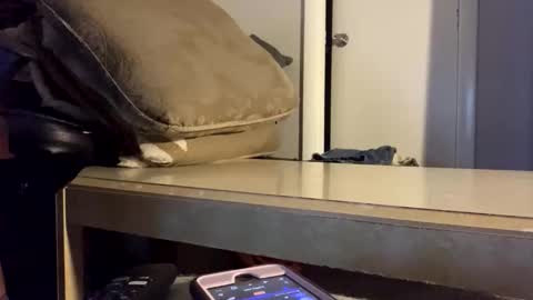 martasub online show from 12/15/25, 04:11