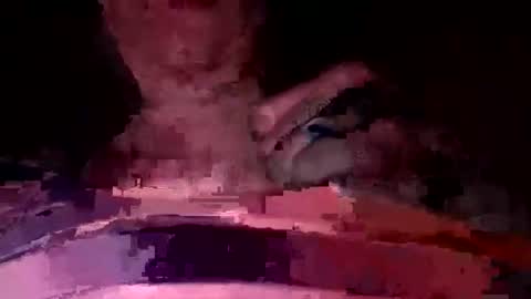 martinhopetaylor online show from 07/17/26, 09:27