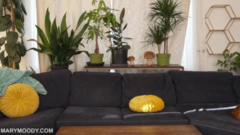 Mary Moody online show from 03/09/26, 12:47