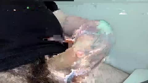 mas12345678910 online show from 12/01/24, 04:29