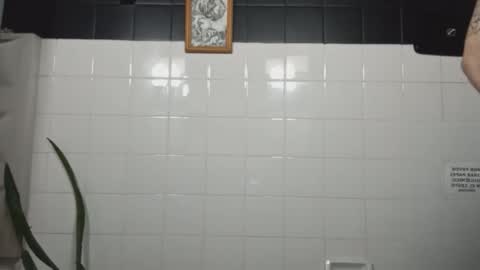 masachusset online show from 01/06/26, 07:12