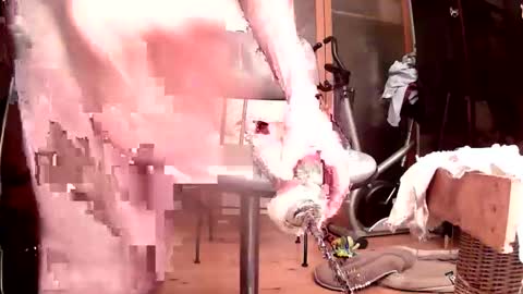 maschpro online show from 10/24/25, 05:09