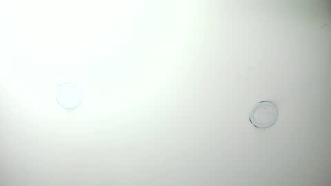 MashaPink online show from 04/07/26, 12:38