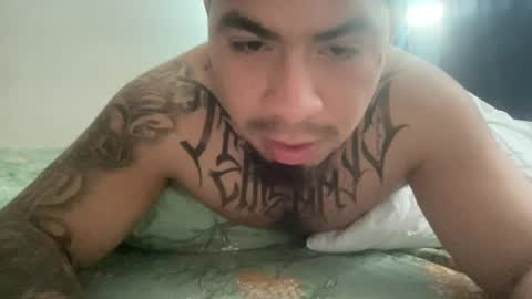    online show from 08/03/26, 08:13