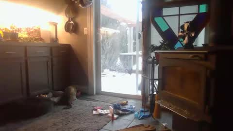 The Big Duurty online show from 02/15/25, 02:22