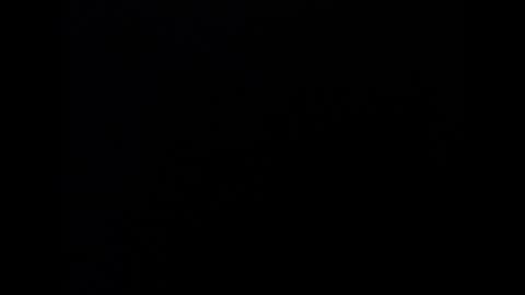 Marl online show from 01/16/26, 04:49