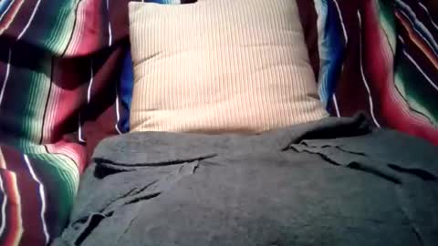 Snapshot of mastrdebator chatting on 02/08/26, 05:05 mastrdebator online show from 02/08/26, 05:05