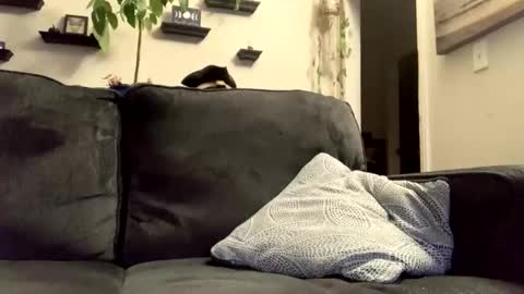 masturbationsession69 online show from 01/08/26, 06:37