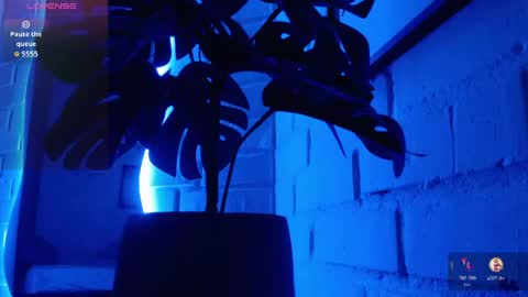 MATEO HUNTER online show from 04/15/26, 06:20